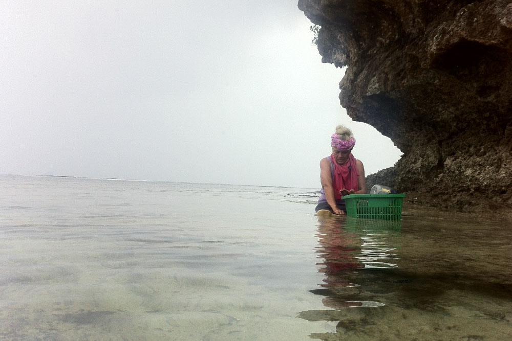 Tide Pools
